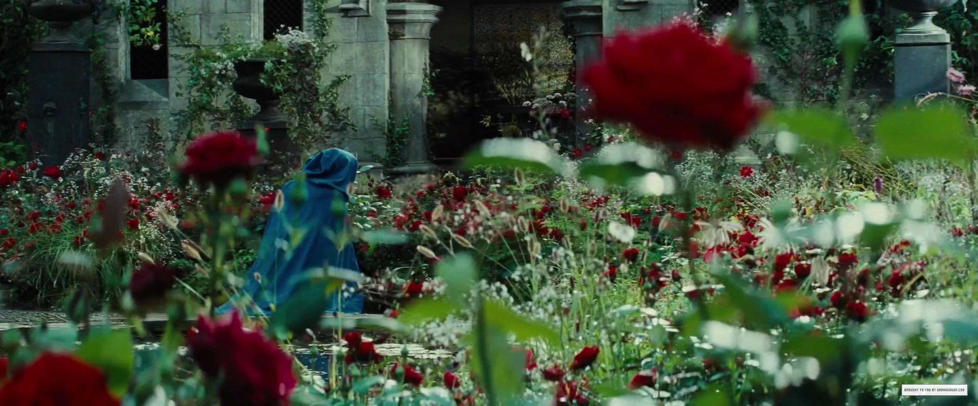 DraculaUntold_102.jpg DraculaUntold_102.jpg
