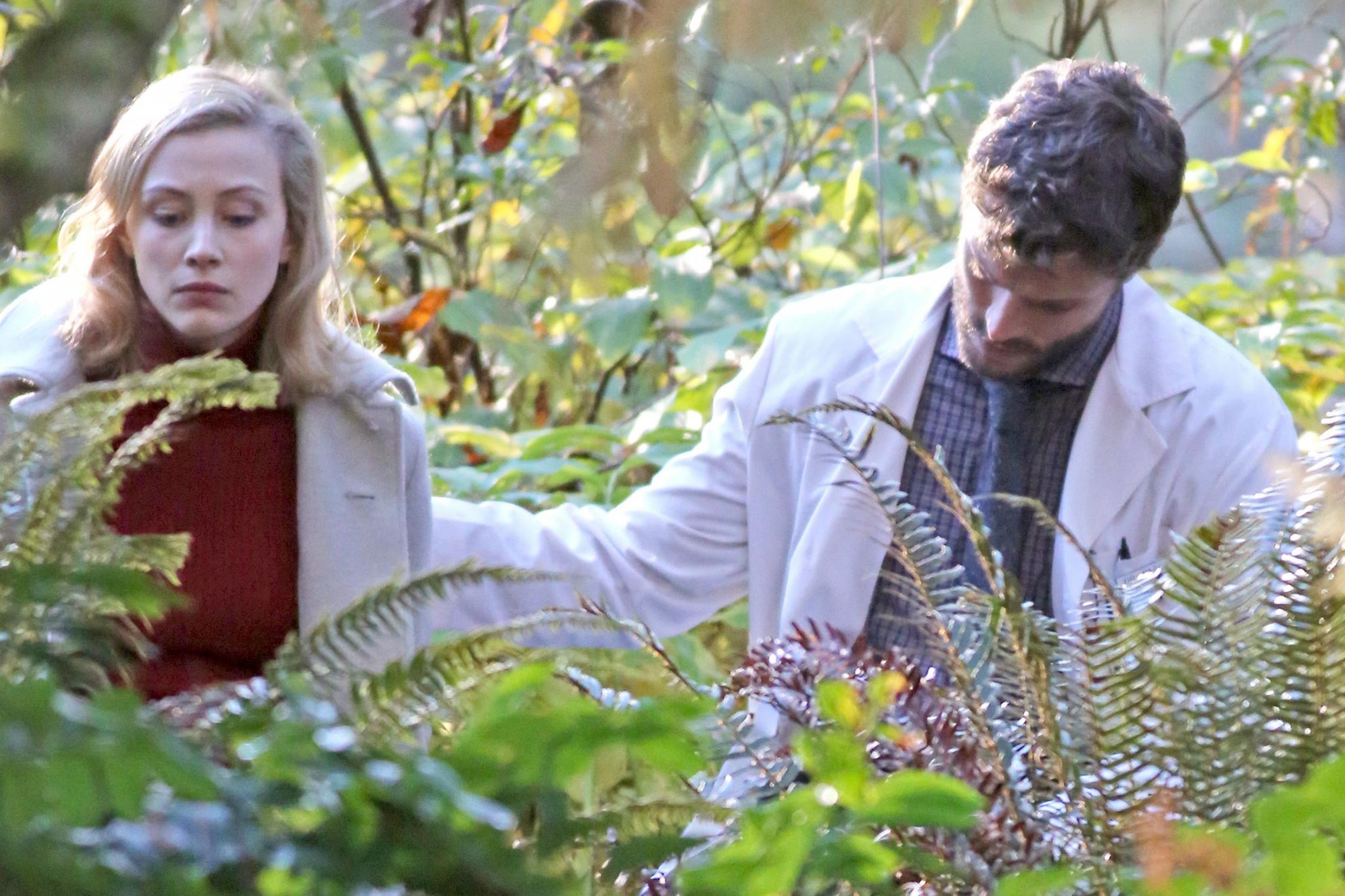 set1_037.jpg