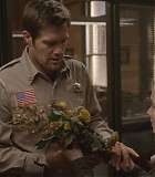 104_003.jpg