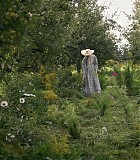 104_218.jpg